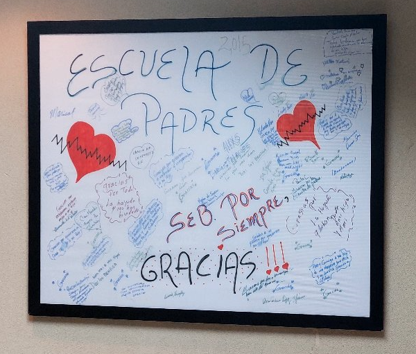 Imagen 10